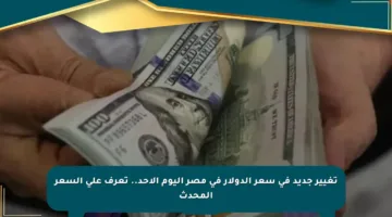 تغيير جديد في سعر الدولار في مصر اليوم الأحد.. تعرف على السعر المحدث